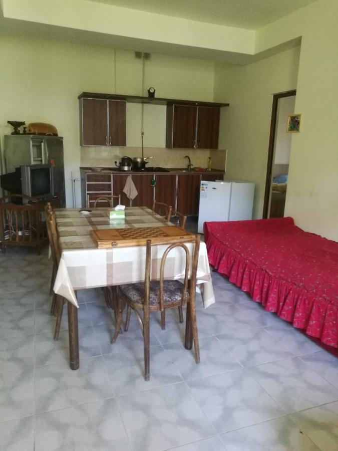 Artyomi Toon Apartment Dilijan Exterior photo